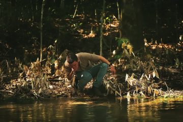 Último episódio da websérie Rota Regenerativa reforça o papel coletivo na transformação do agro